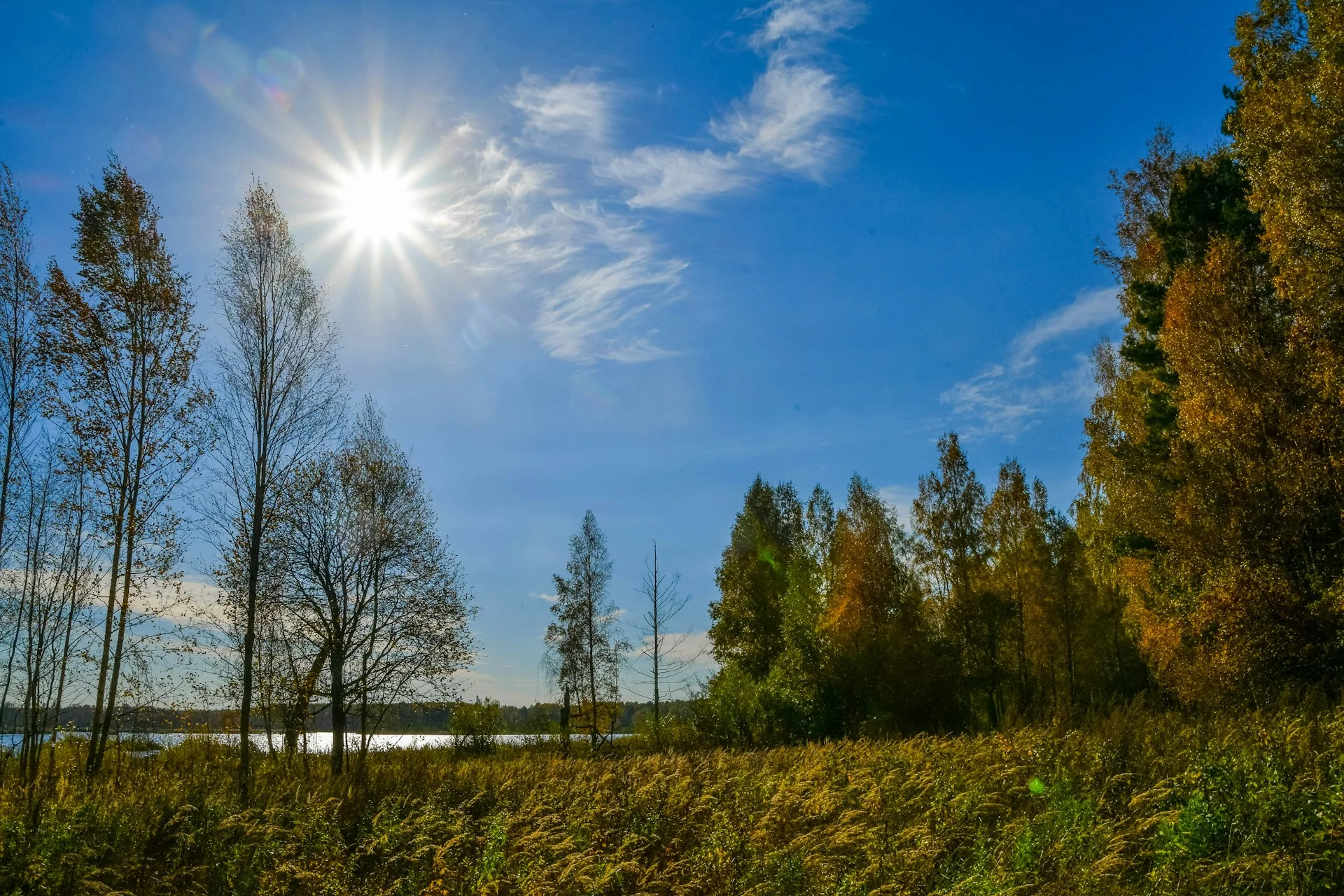 Buy Real Estate Without Agent In Moscow Oblast — Direct FSBO | VelesClub Int.