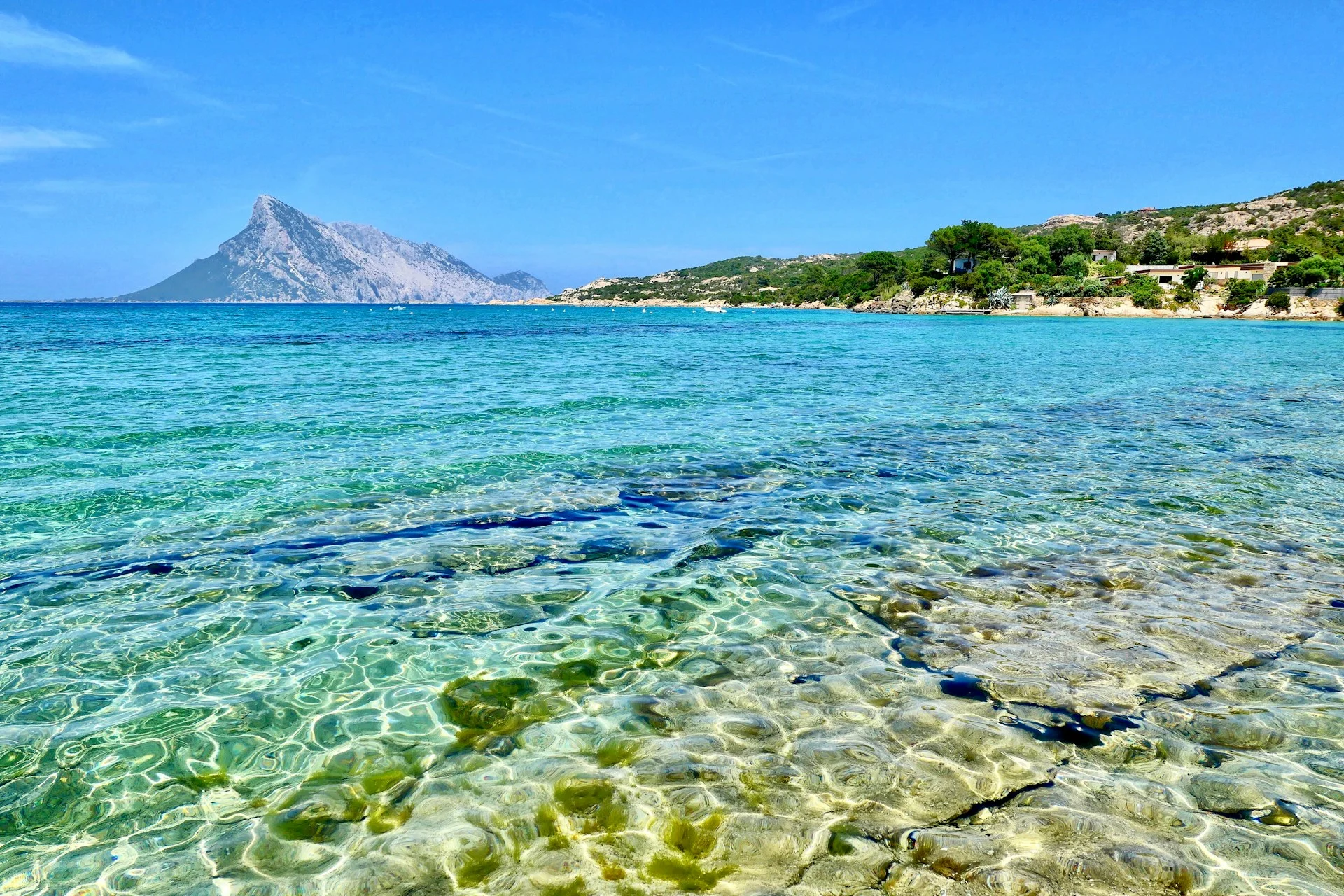 Private Seller Homes For Sale In Olbia — Owner Listings | VelesClub Int.