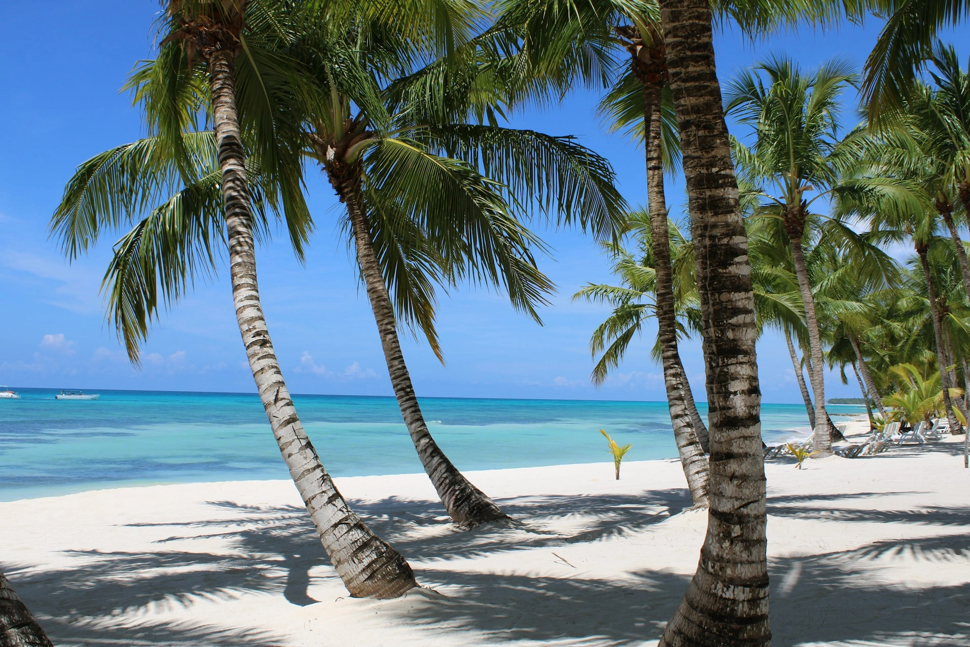 image city Punta Cana