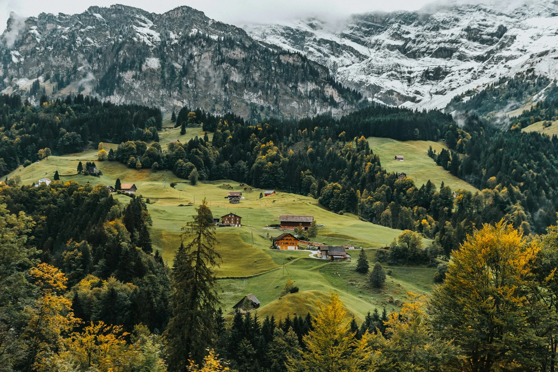 Order Complete Family Office Operations Audit in Switzerland | VelesClub Int.