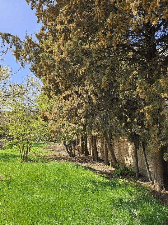 Land plot. Shindisi