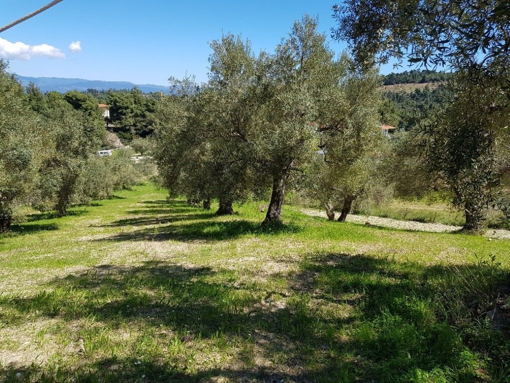 Terrain en Halkidiki, 2002 m²