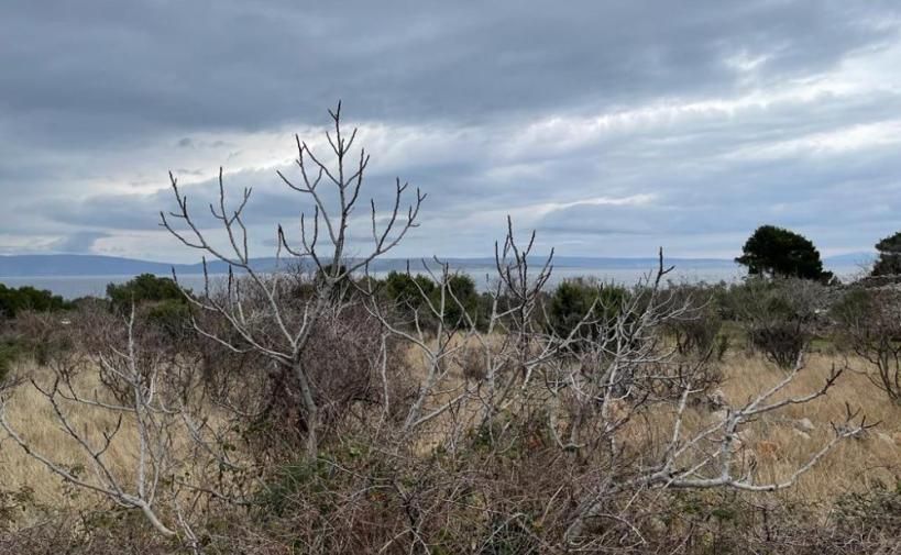 Acheter un terrain à bâtir à Punat, Croatie - 405 k € ✅