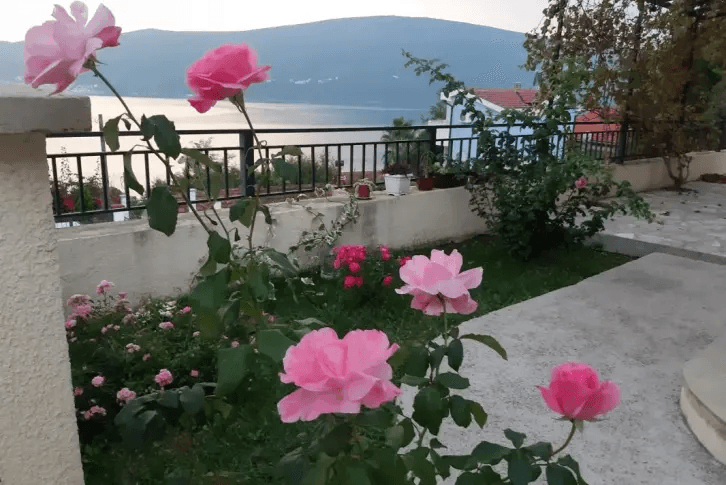 Apartment 33 m2 with terrace in Herceg Novi