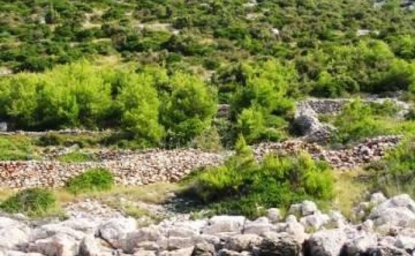 Terrain agricole sur l'île de Hvar, Croatie